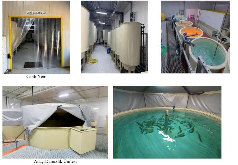 Milas’ta ADEC Akvaryum’dan Kapasite Artırımı Projesi 4